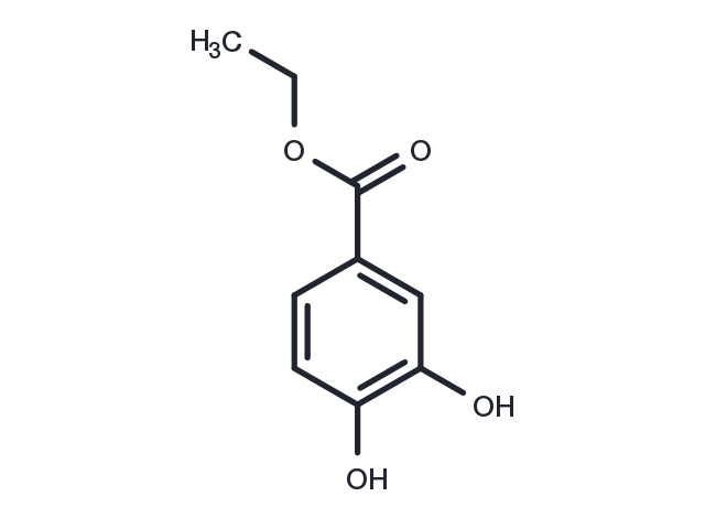 Ethyl 3,4-dihydroxybenzoate Chemical Structure