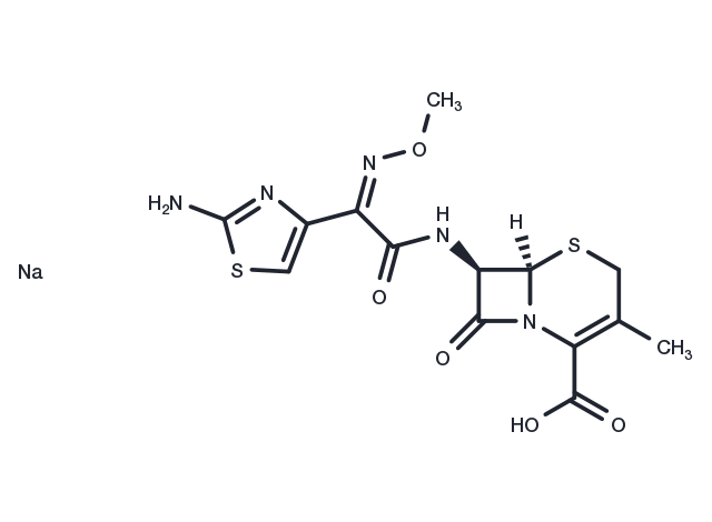 Cefetamet sodium Chemical Structure