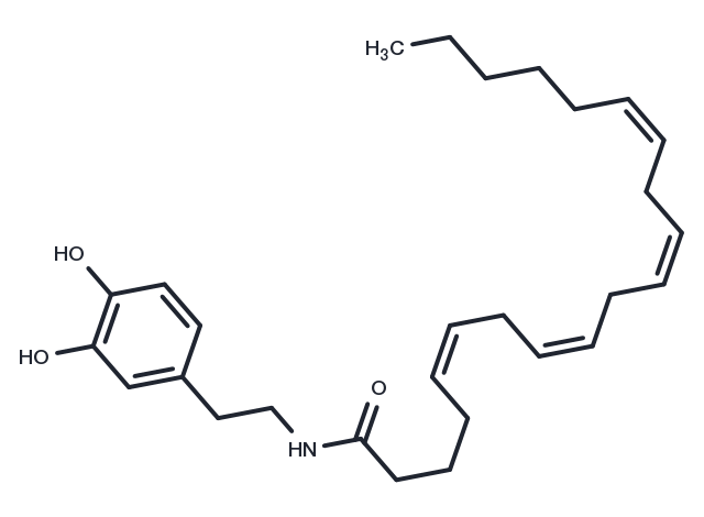 N-Arachidonyldopamine