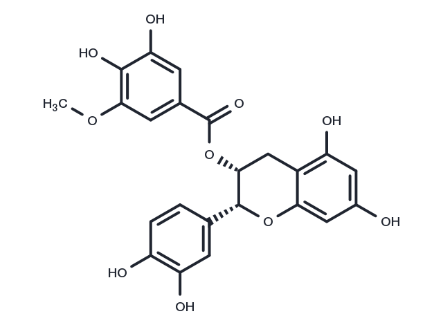 (-)-Epicatechin-3-(3''-O-methyl) gallate Chemical Structure