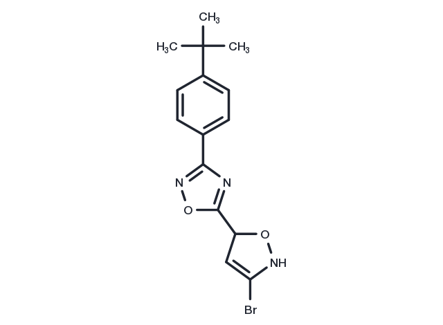5-(3-bromo-4,5-dihydroisoxazol-5-yl)-3-(4-(tert-butyl)phenyl)-1,2,4-oxadiazole Chemical Structure