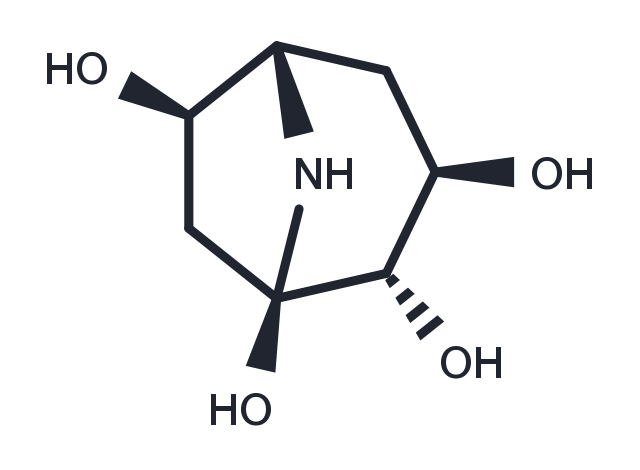 Calystegine B1 Chemical Structure