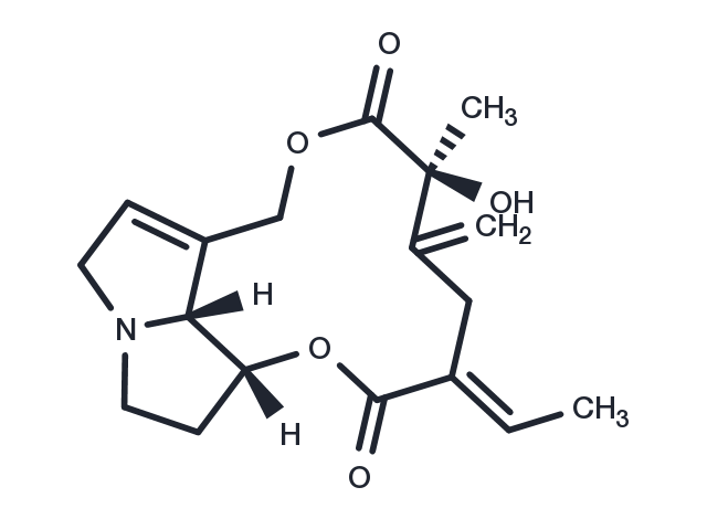 Spartioidine Chemical Structure