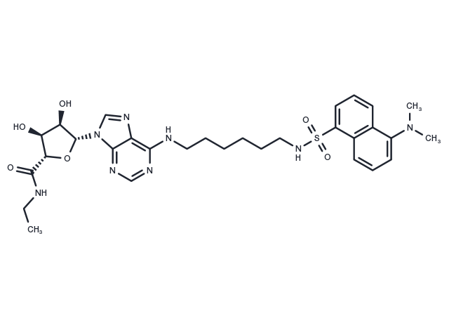 Dansyl-NECA Chemical Structure