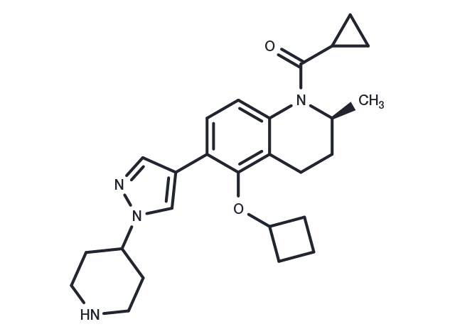 FT-1101 free base Chemical Structure