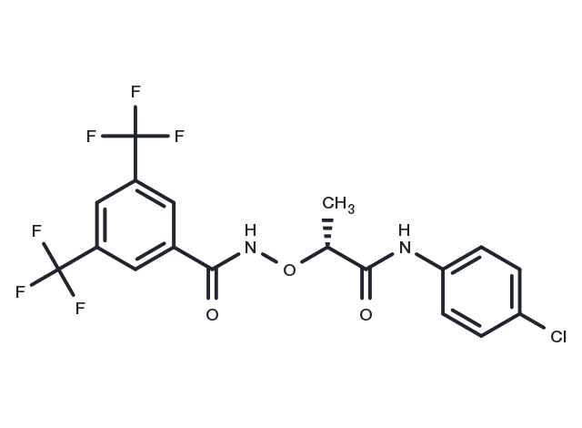 (R)-CCG-1423 Chemical Structure