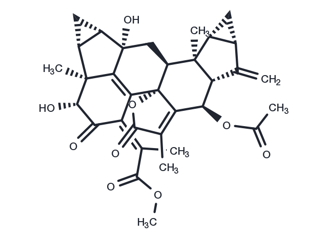 Chlorahololide C