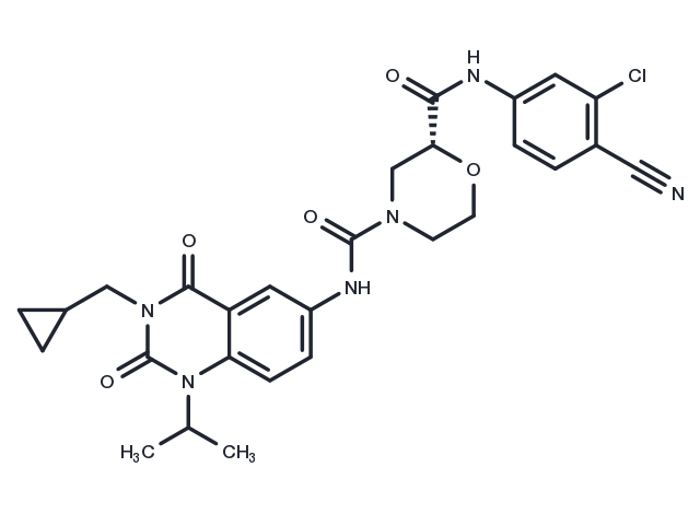 RORγt Inverse agonist 6 Chemical Structure