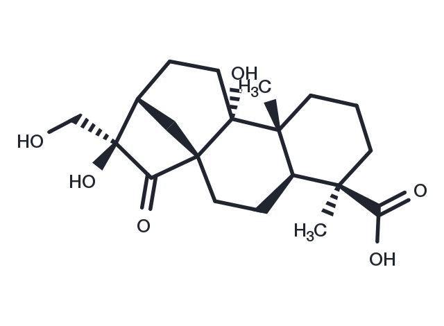 Pterisolic acid F Chemical Structure