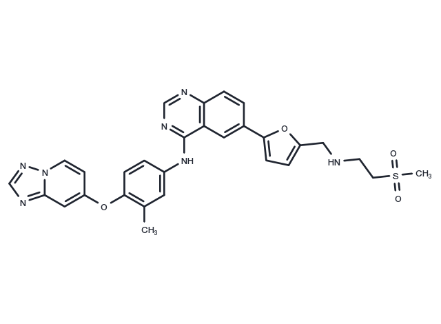 ARRY-380 (analog ) Chemical Structure