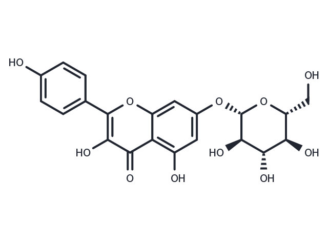 Kaempferol-7-O-β-D-glucopyranoside