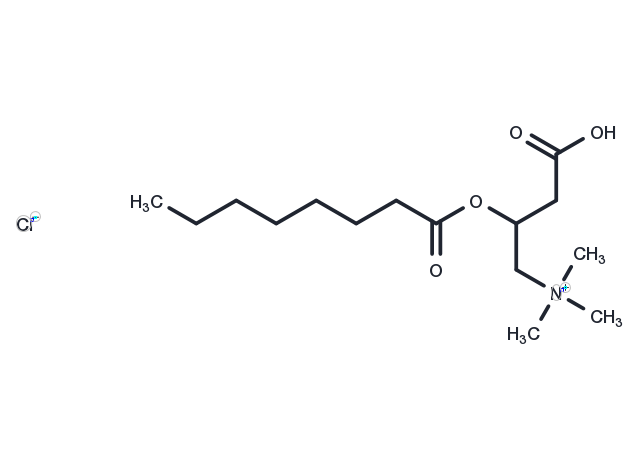 (±)-Octanoylcarnitine chloride Chemical Structure
