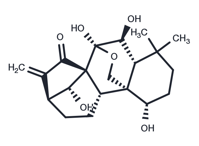 Oridonin Chemical Structure
