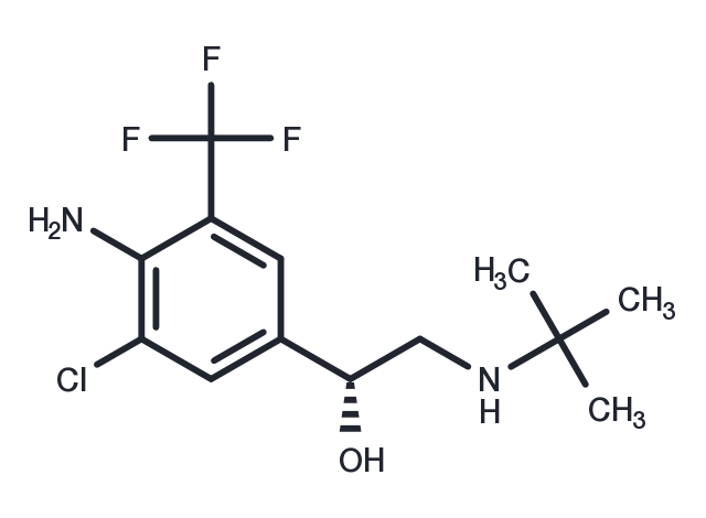 Mabuterol, (R)- Chemical Structure