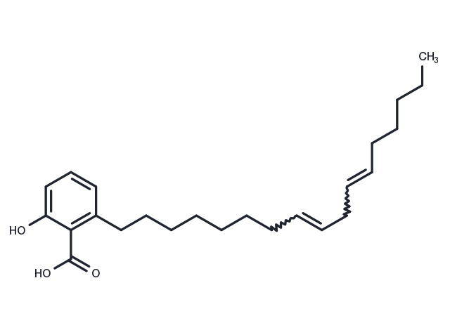 (E/Z)-Ginkgolic acid C17:2