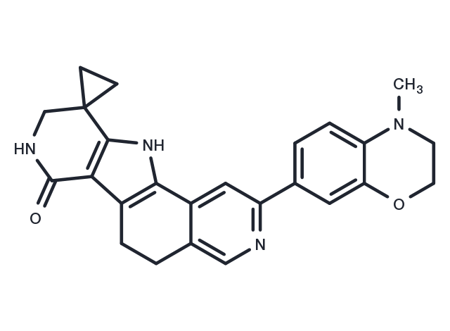 MK2-IN-4 Chemical Structure