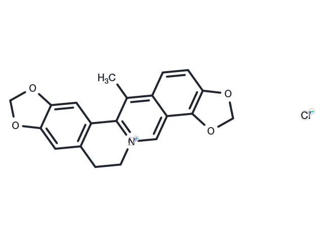 Corysamine chloride