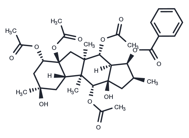 5-hydroxythalidomide Chemical Structure
