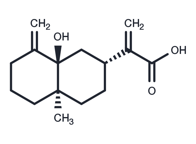 5beta-Hydroxycostic acid