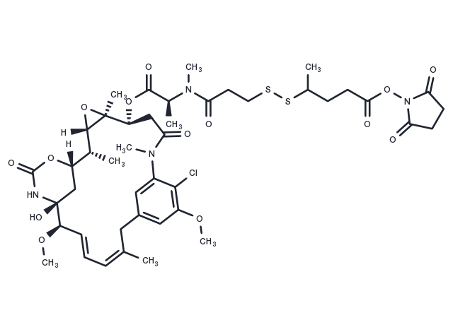 SPP-DM1 Chemical Structure