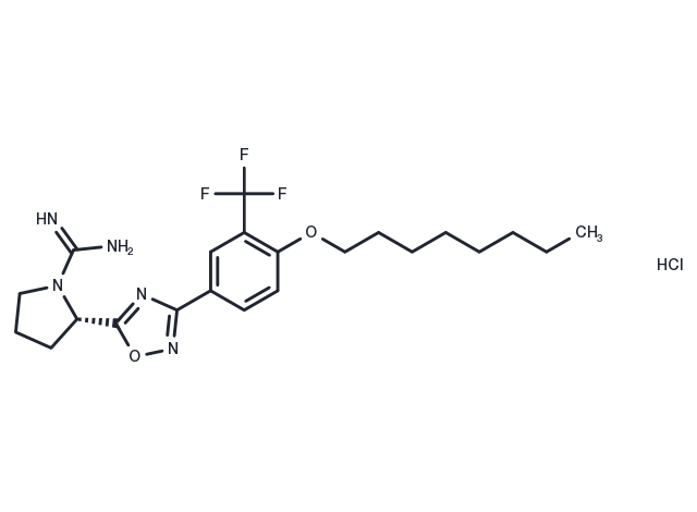 SLM6031434 HCl Chemical Structure
