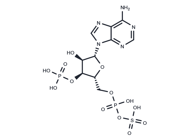 PAPS Chemical Structure