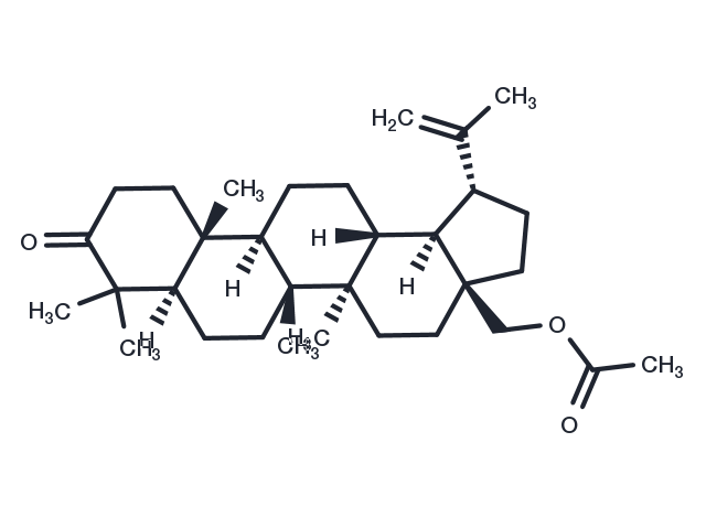 3-Oxobetulin Acetate Chemical Structure