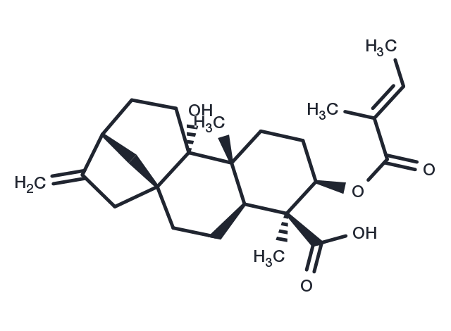 3Alaph-Tigloyloxypterokaurene L3