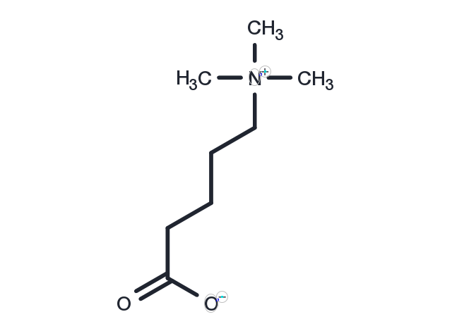 delta-Valerobetaine Chemical Structure