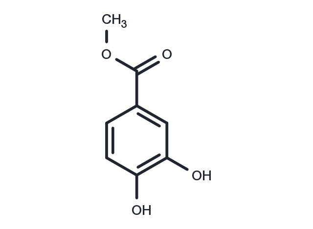 Methyl 3,4-dihydroxybenzoate Chemical Structure