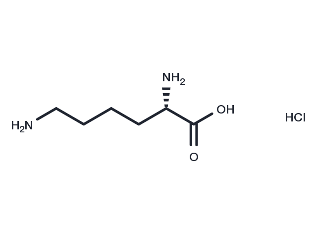 Poly-L-lysine hydrochloride Chemical Structure
