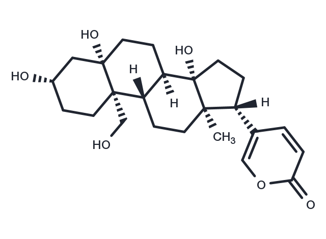 Hellebrigenol Chemical Structure
