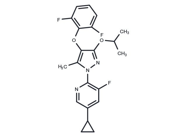 DHODH-IN-1 Chemical Structure