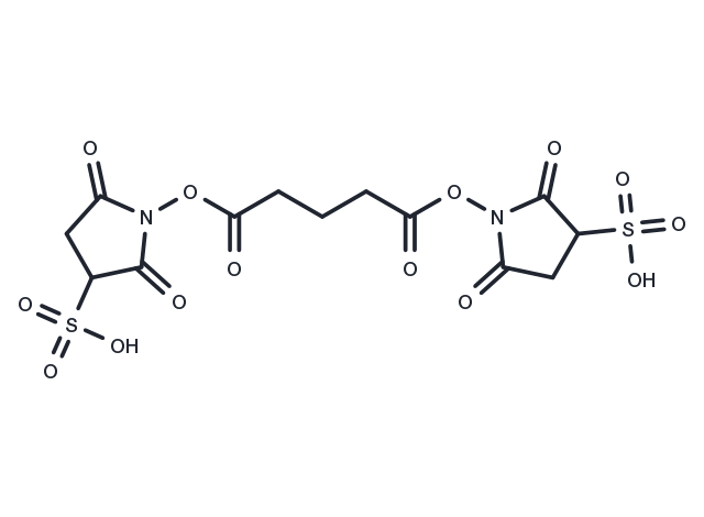 BS2G Crosslinker Chemical Structure
