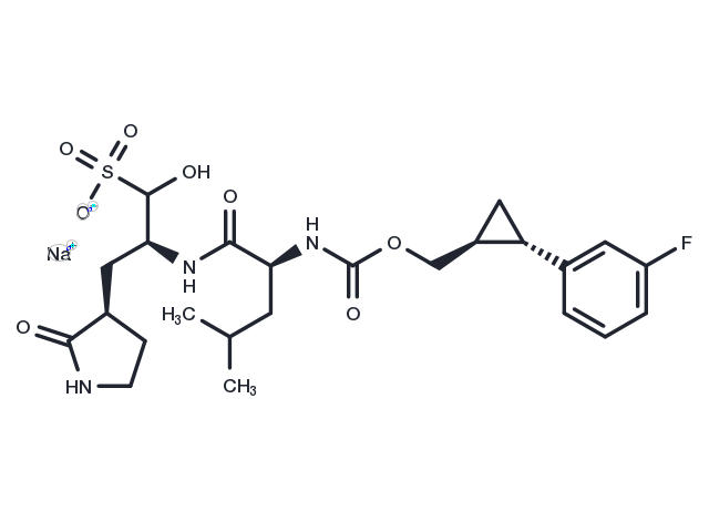 SARS-CoV-2 3CLpro-IN-10 Chemical Structure