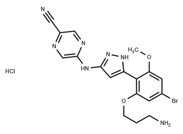 CHK1-IN-4 hydrochloride Chemical Structure
