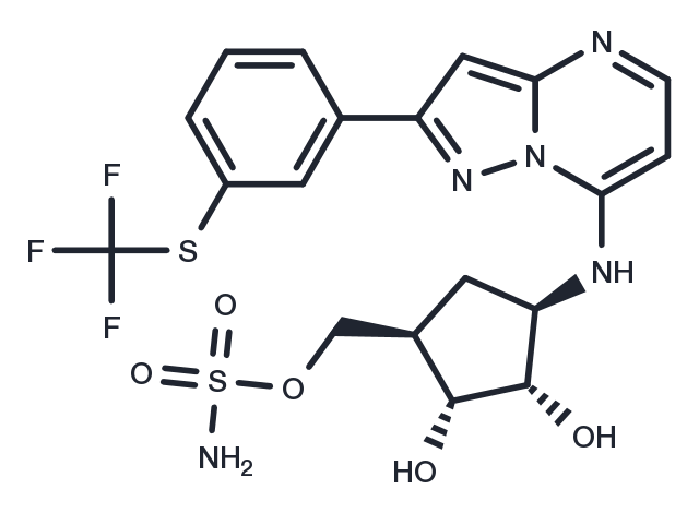 TAK-243 Chemical Structure