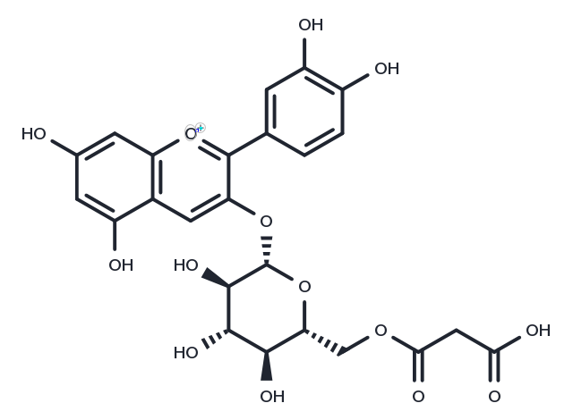 Cyanidin-3-O-(6''-malonylglucoside) chloride Chemical Structure