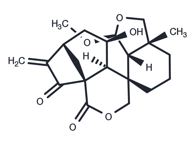Augustifolin Chemical Structure