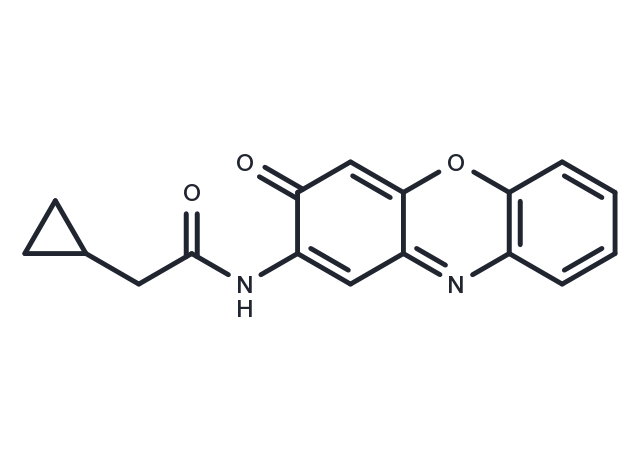 Questiomycin A derivatives 13 Chemical Structure