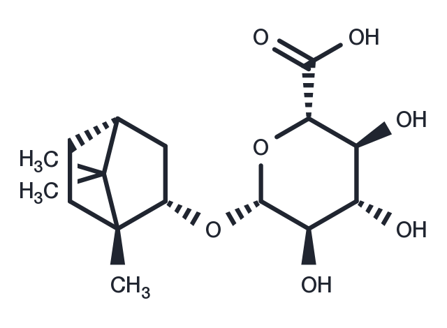 Borneol glucuronide Chemical Structure