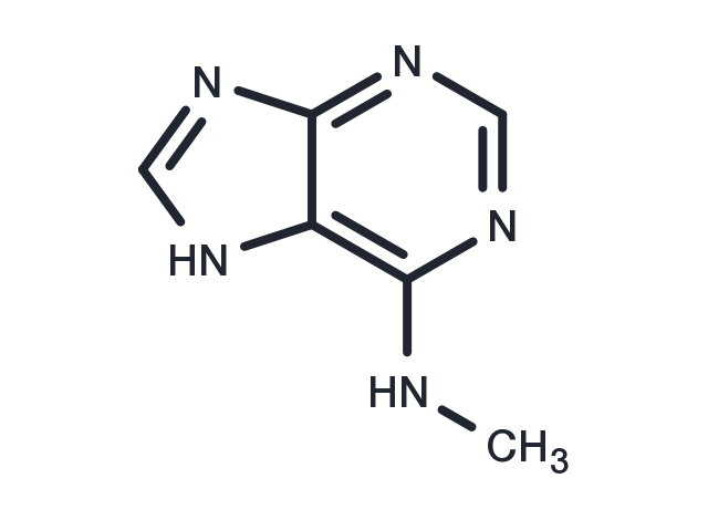 N6-Methyladenine Chemical Structure