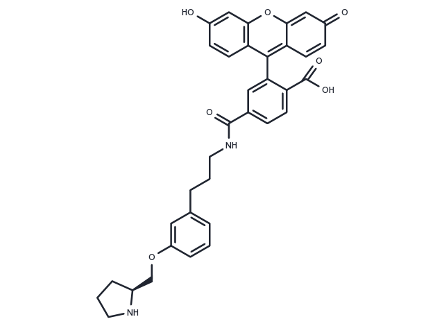 Nifrofam Chemical Structure