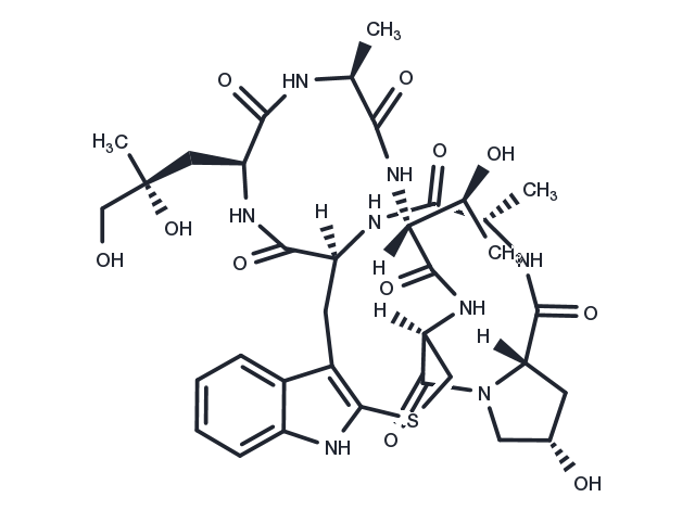 Phalloidin Chemical Structure