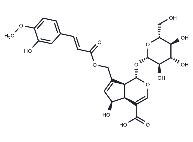 10-O-trans-p-Feruloylscandoside Chemical Structure