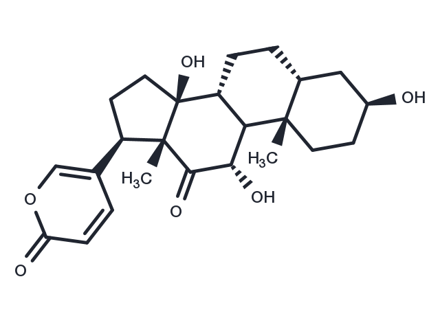 Arenobufagin (Arenobufogenin) Chemical Structure