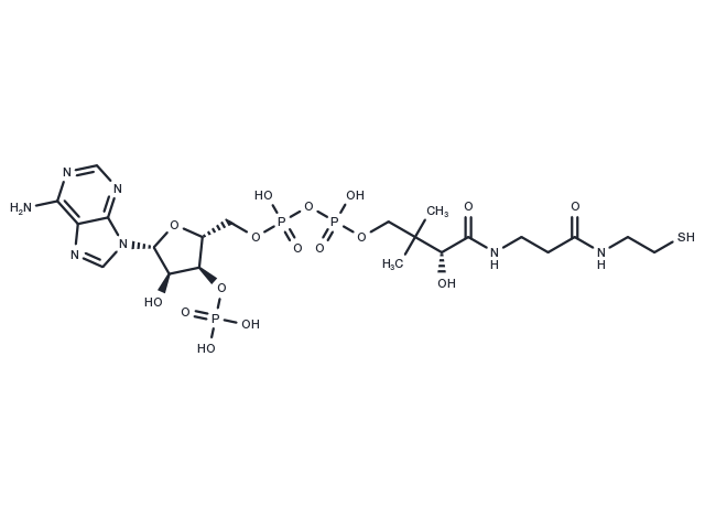 Coenzyme A Chemical Structure