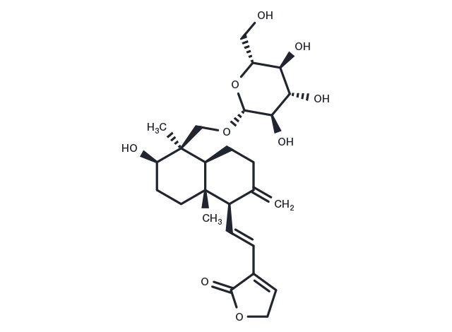14-Deoxy-11,12-didehydroandrographiside