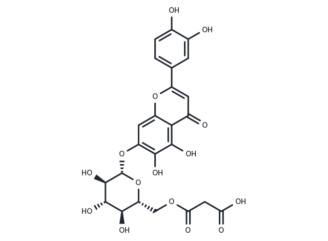 Quercetin 7-O-(6''-O-malonyl)-beta-D-glucoside