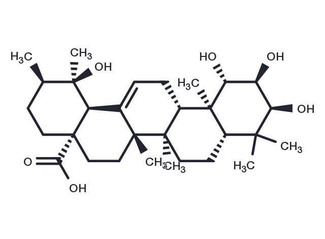 1β-Hydroxyeuscaphic acid Chemical Structure